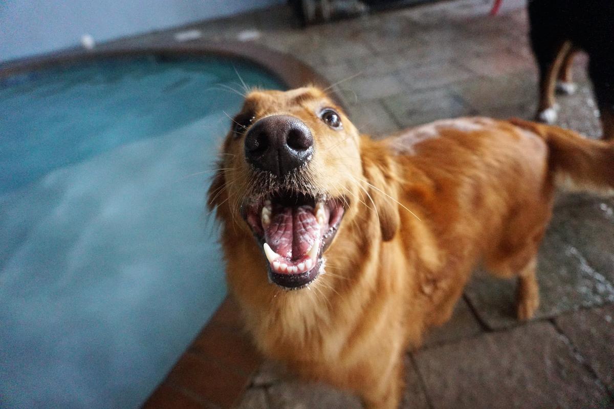 home staging st augustine