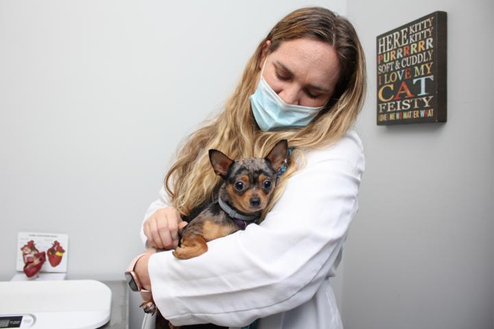 Pet Friendly Southern Pines Healthy Pet Clinic