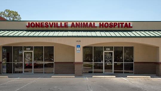 Pet Friendly Jonesville Animal Hospital