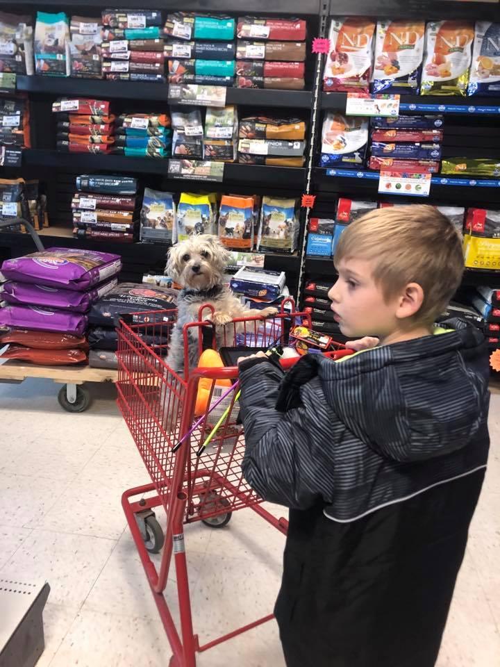 Healthy shop pet center