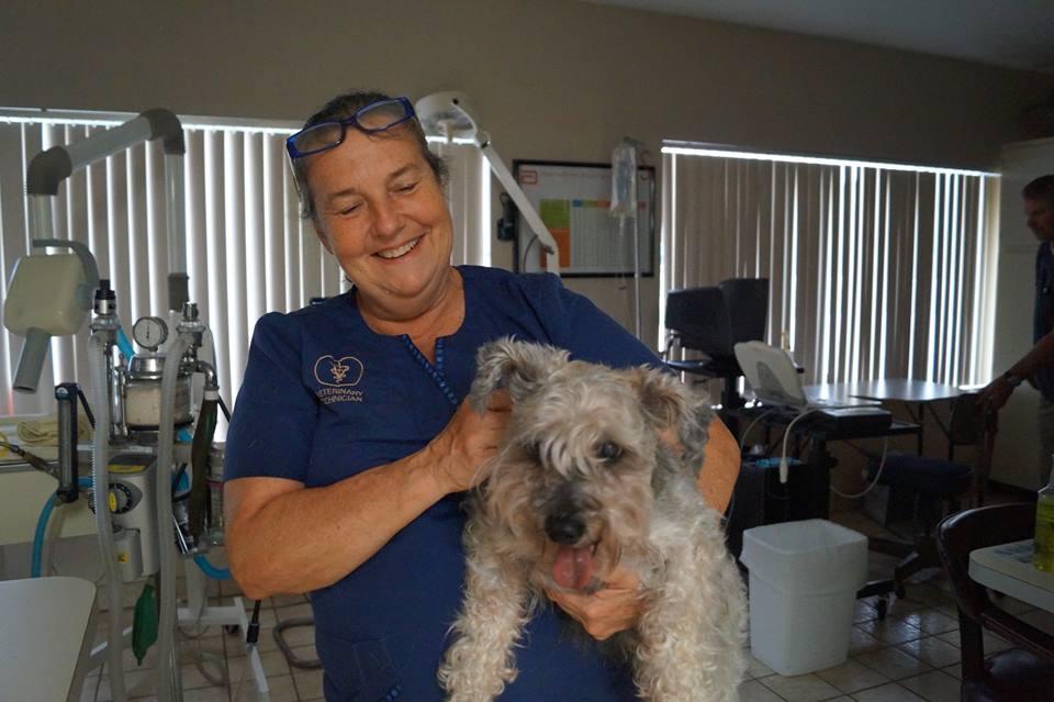 Pet Friendly Heart of Florida Animal Hospital and Pet Resort