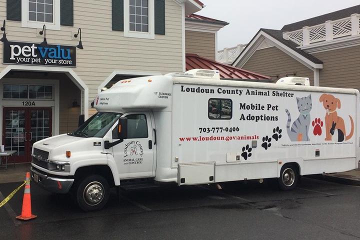 Pet Friendly Loudoun County Animal Services