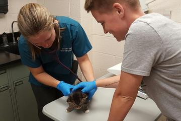 Loudoun County Animal Services Loudoun County Animal Services