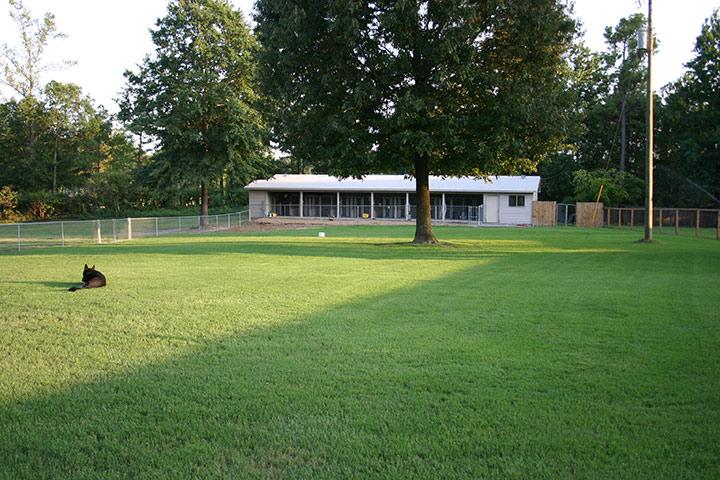 Sherwood kennels store