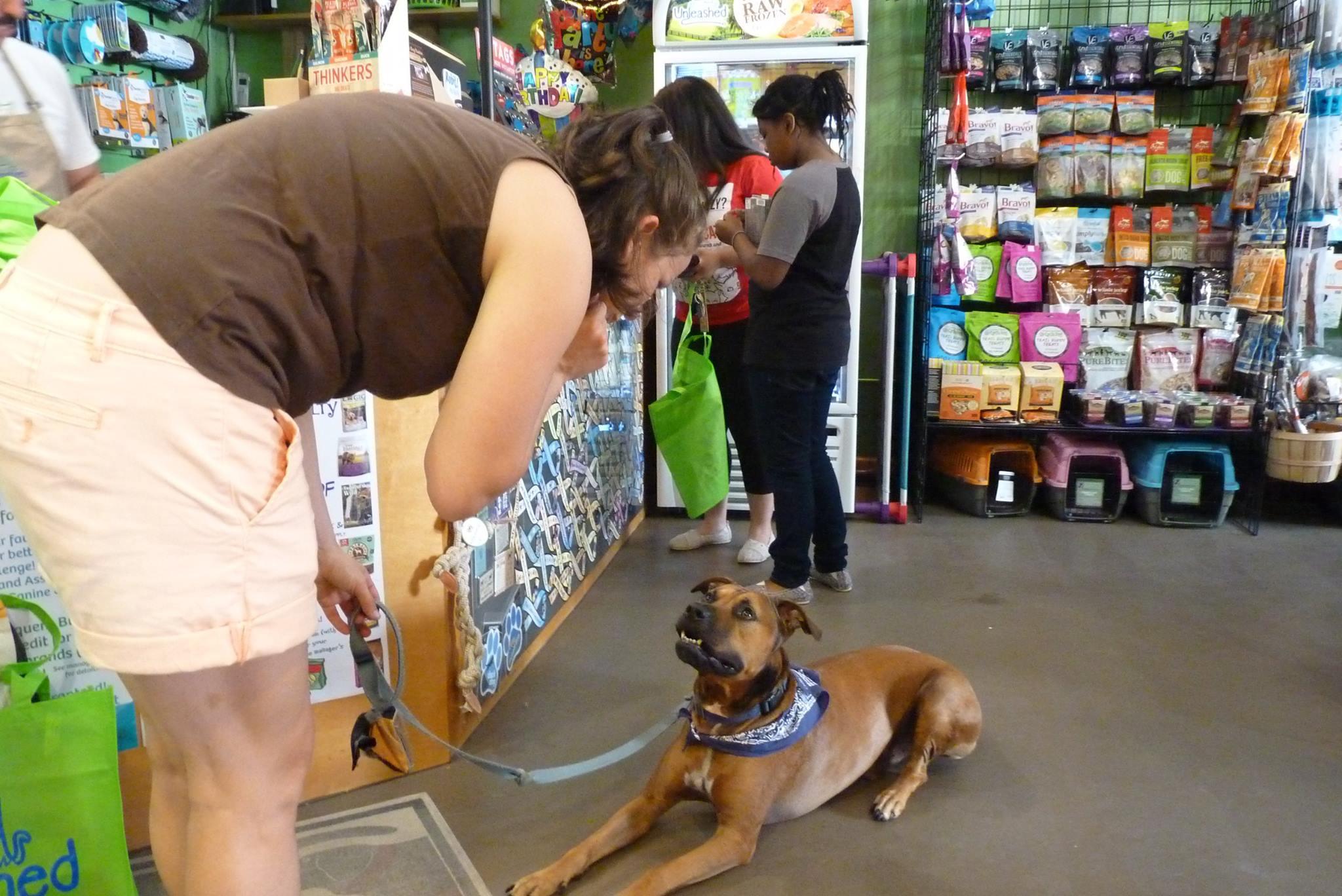 Pet Friendly Unleashed, the Dog & Cat Store City Market: DTR