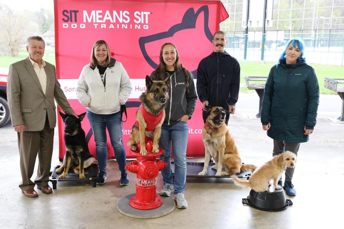 Sit Means Sit Dog Training - Pittsburgh