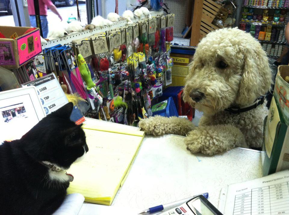 Pet store near me bronx discount