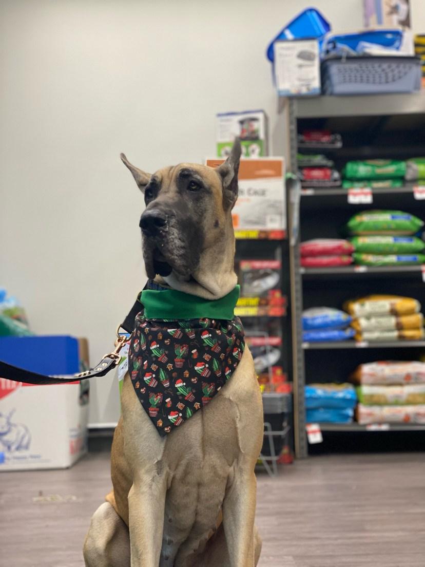 Pet Supplies Plus Zephyrhills