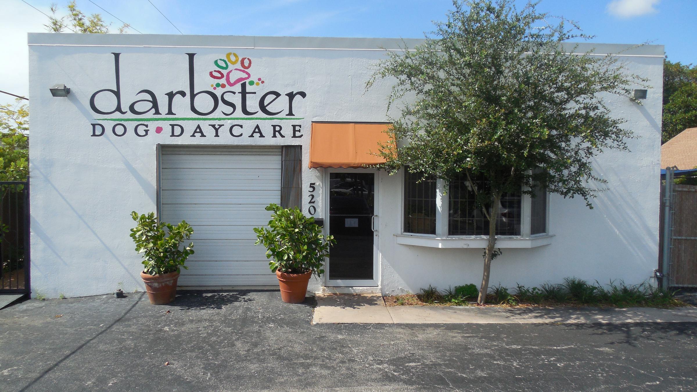 Pet Friendly Darbster Dog Day Care
