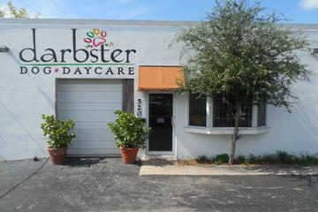 Directory Of Doggie Daycare Boarding In Boca Raton Fl Bringfido