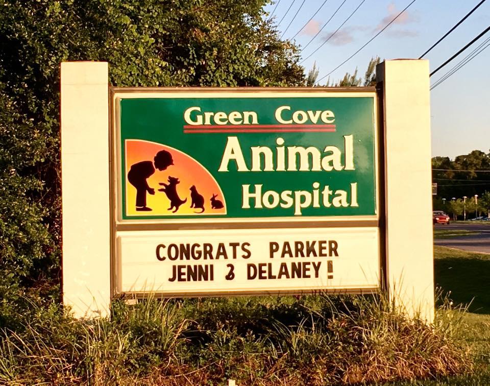 Pet Friendly Green Cove Animal Hospital
