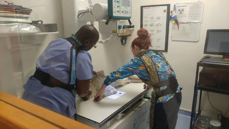 home suites hotel davenport fl