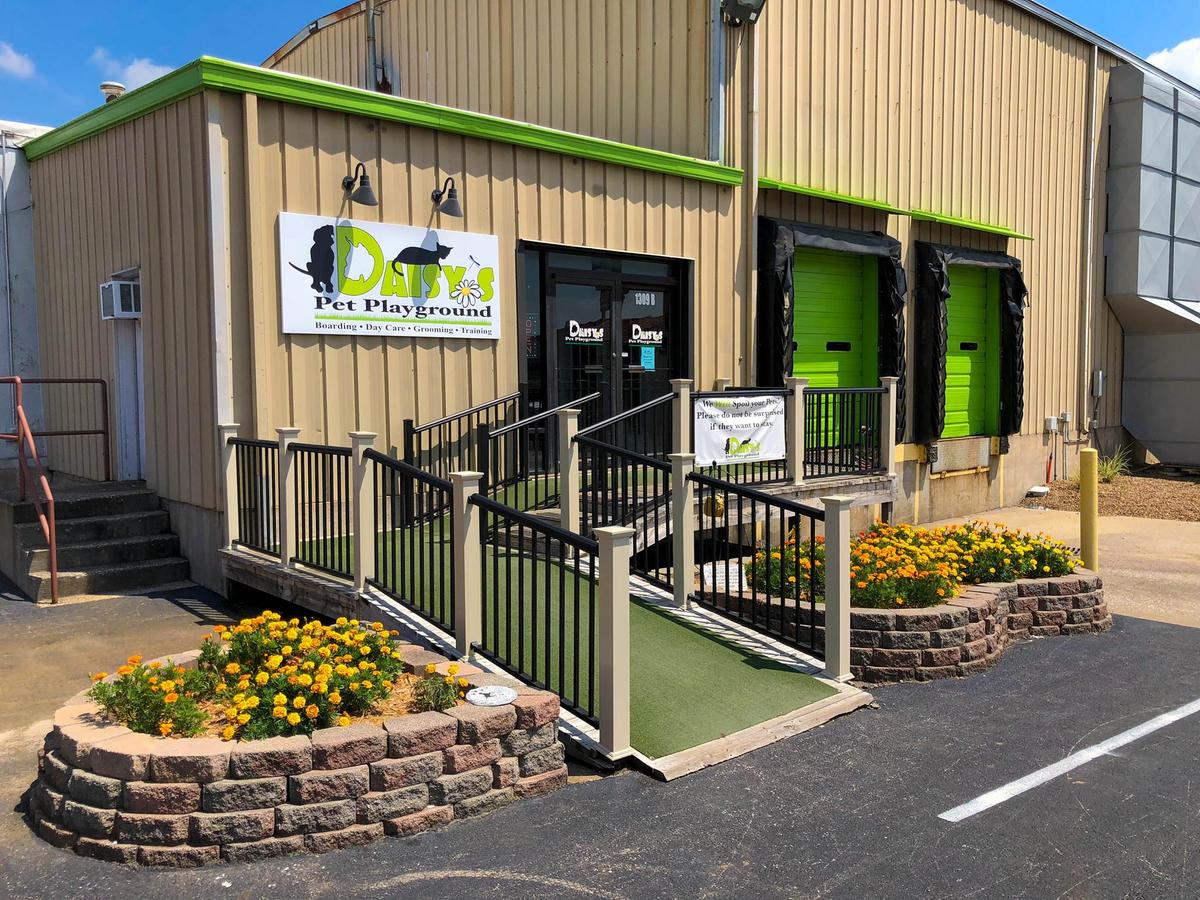 Daisy's doggie daycare clearance