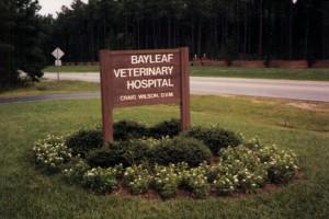 Pet Friendly Bayleaf Veterinary Hospital
