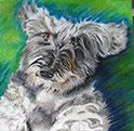 Pet Friendly Pet Portrait Artist, Michelle Hayden-Marsan