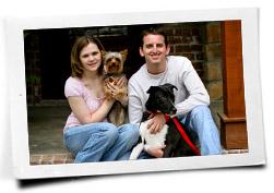 clearview cat and dog hospital