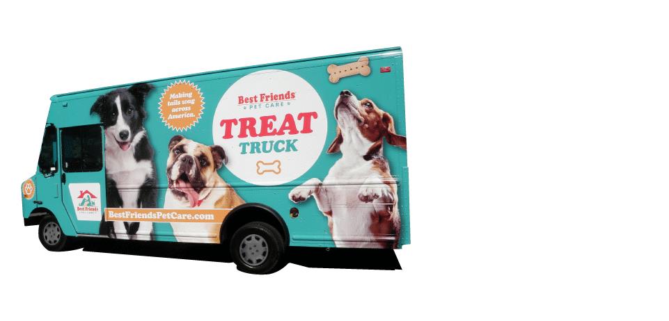 puppy classes shrewsbury