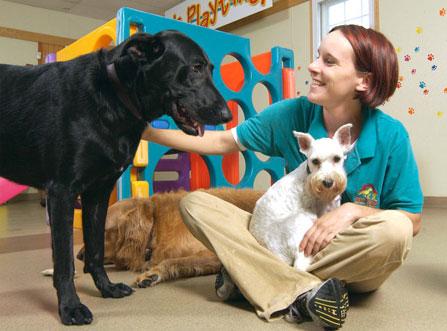 Pet Friendly All for Doggies/Best Friends Pet Care
