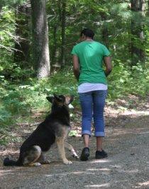 Pet Friendly Waggin' & Walking
