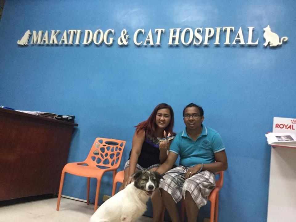 Pet Friendly Makati Dog and Cat Hospital