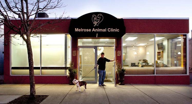 Pet Friendly Melrose Animal Clinic