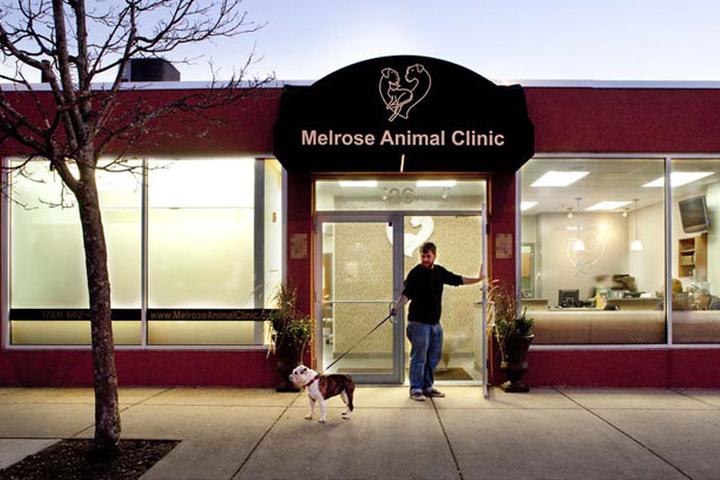 Pet Friendly Melrose Animal Clinic