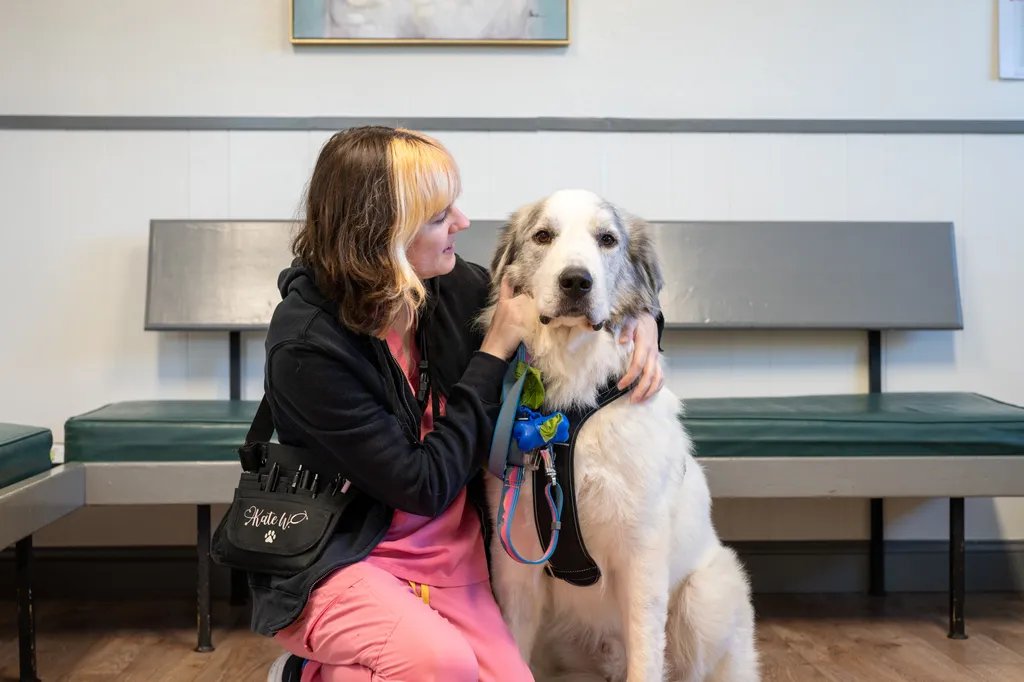 A dog and a Boulevard Pet Hospital staff member pose for a picture inside their facility in Castro Valley, CA. Photo by Boulevard Pet Hospital.
