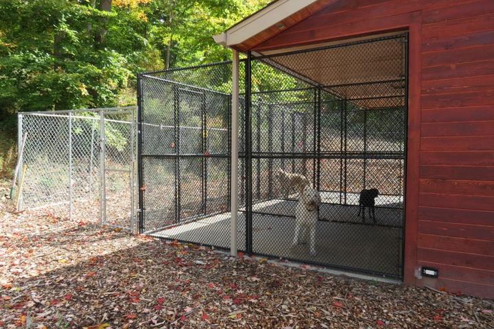 Pet Friendly Canine Cabins Luxury Dog Retreat