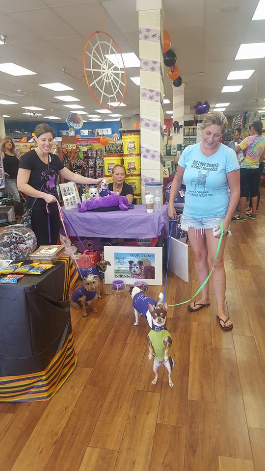 Get a life pet rescue cheap
