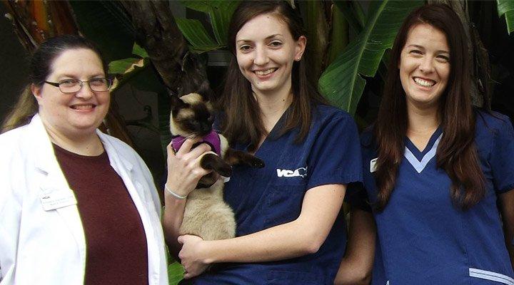 Pet Friendly VCA Gulf Bay Animal Hospital