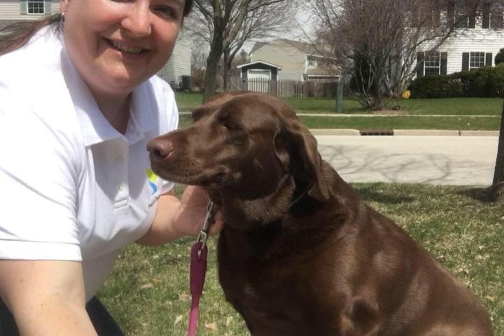 Directory of Pet Sitters & Dog Walkers in Huntley, IL - BringFido Directory of Pet Sitters & Dog Walkers in Huntley, IL - BringFido