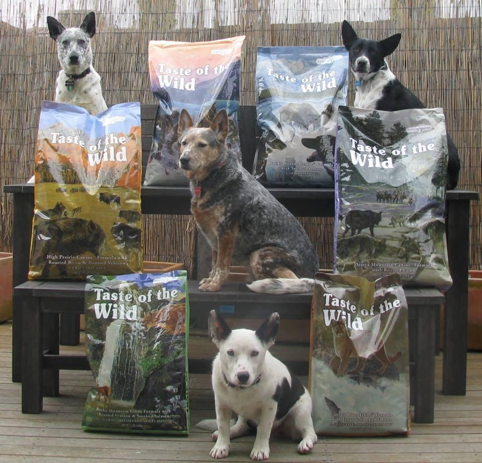 Taste of the wild puppy petsmart best sale