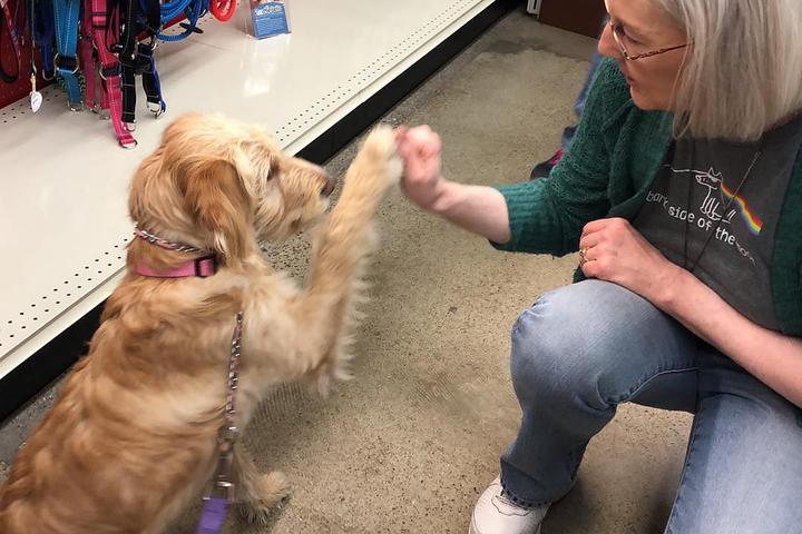 Pet Friendly Bone-A-Patreat Healthy Pet Market West Des Moines