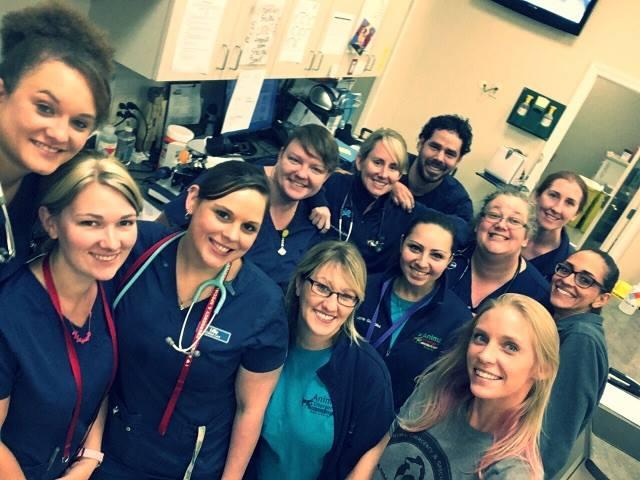 Animal Emergency Specialty Center