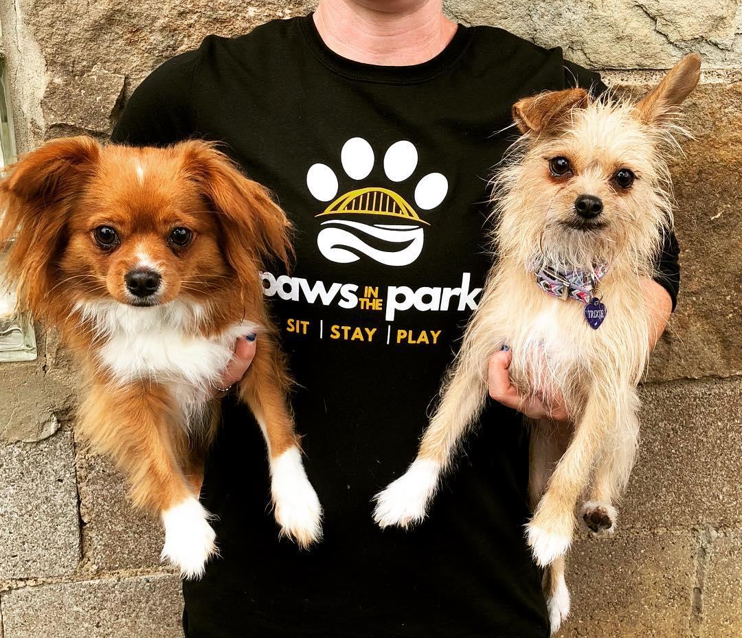 Pet Friendly Paws in the Park