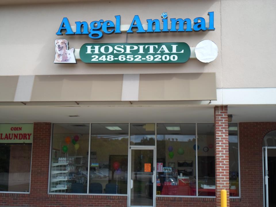 Pet Friendly Angel Animal Hospital