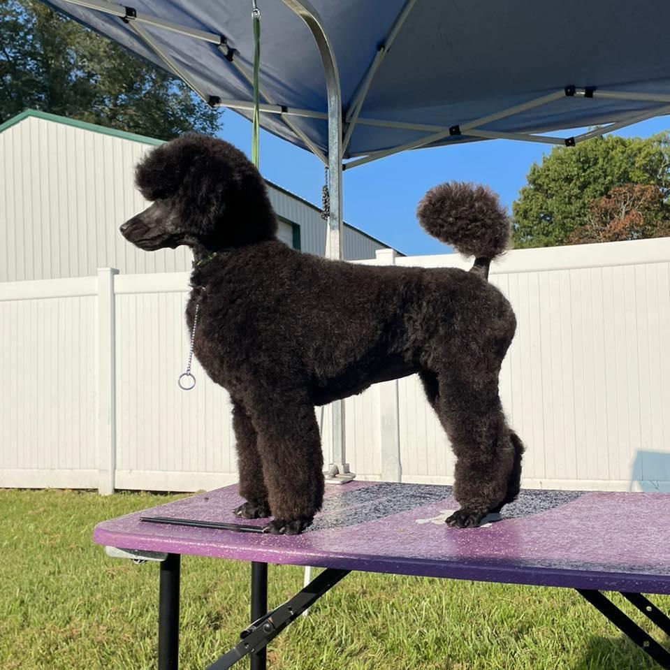 Becky's Bubbles & Bows