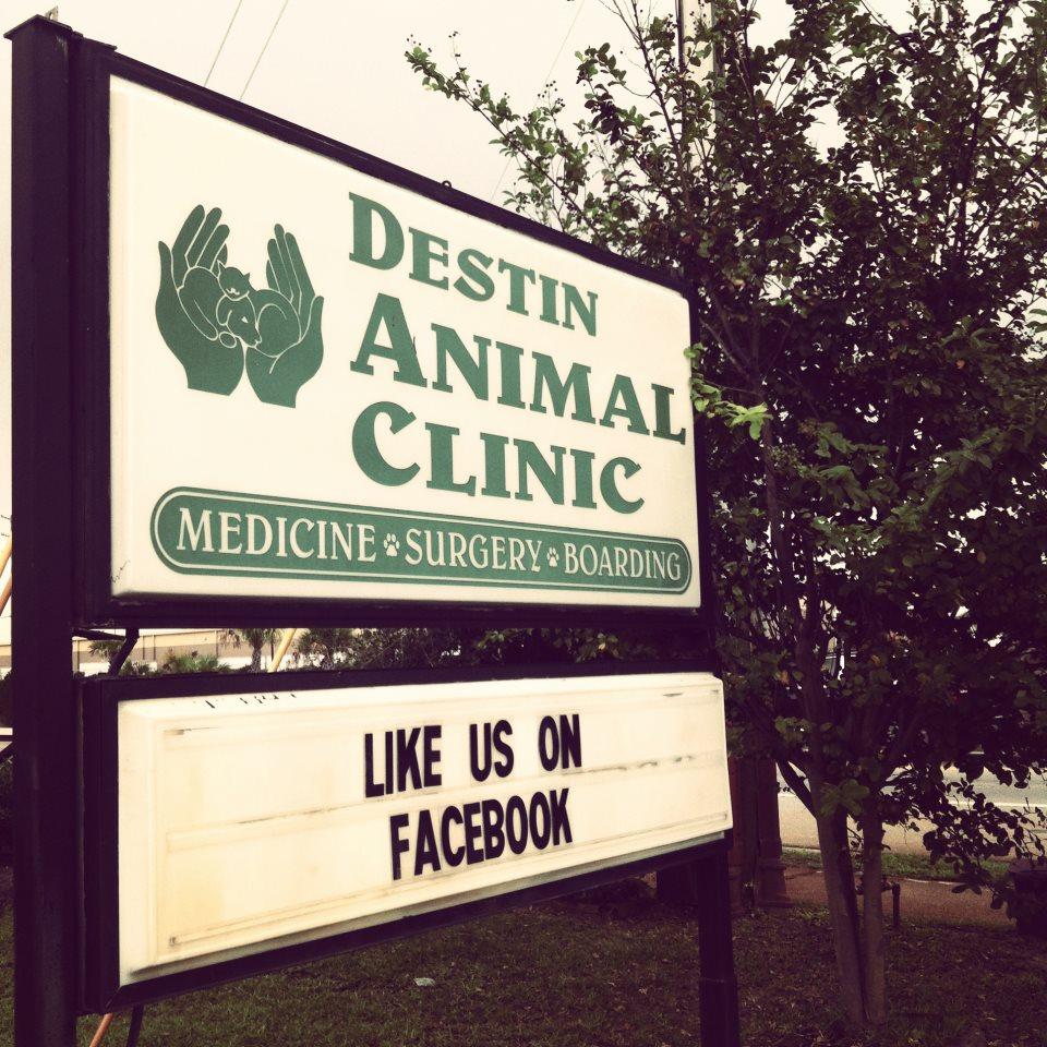 Destin Animal Clinic