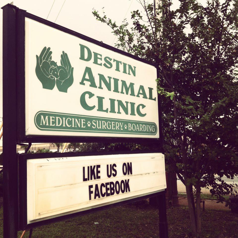 Pet Friendly Destin Animal Clinic