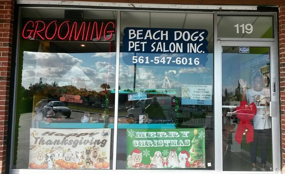 Pet Friendly Beach Dog Pet Salon