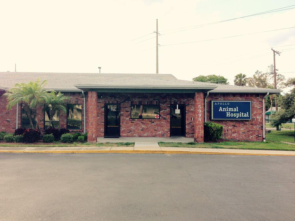 Apollo Beach Animal Hospital