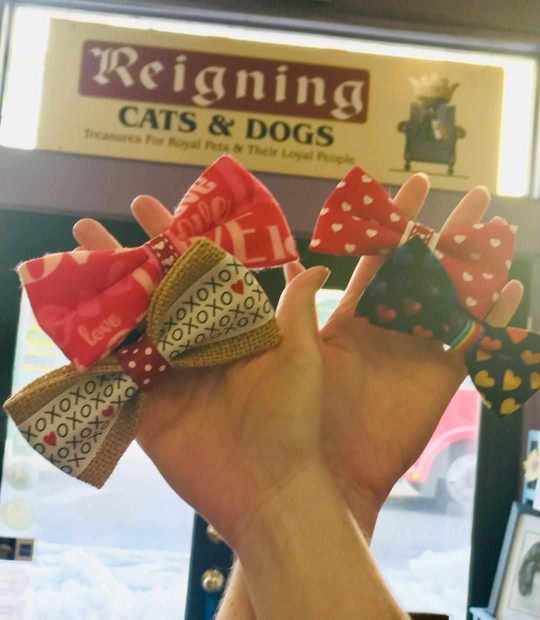 Pet Friendly Reigning Cats & Dogs
