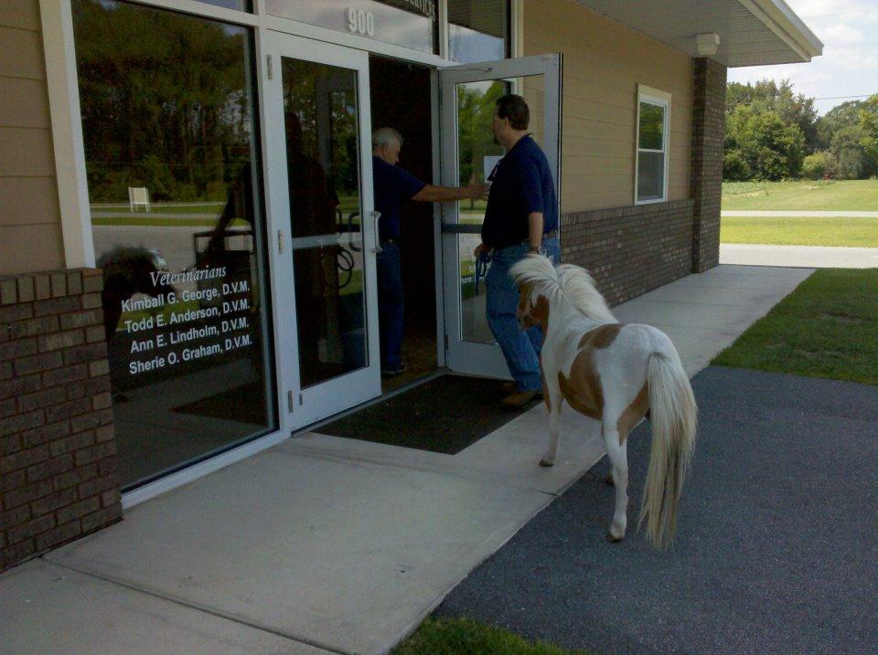 Pet Friendly Panhandle Veterinary Services