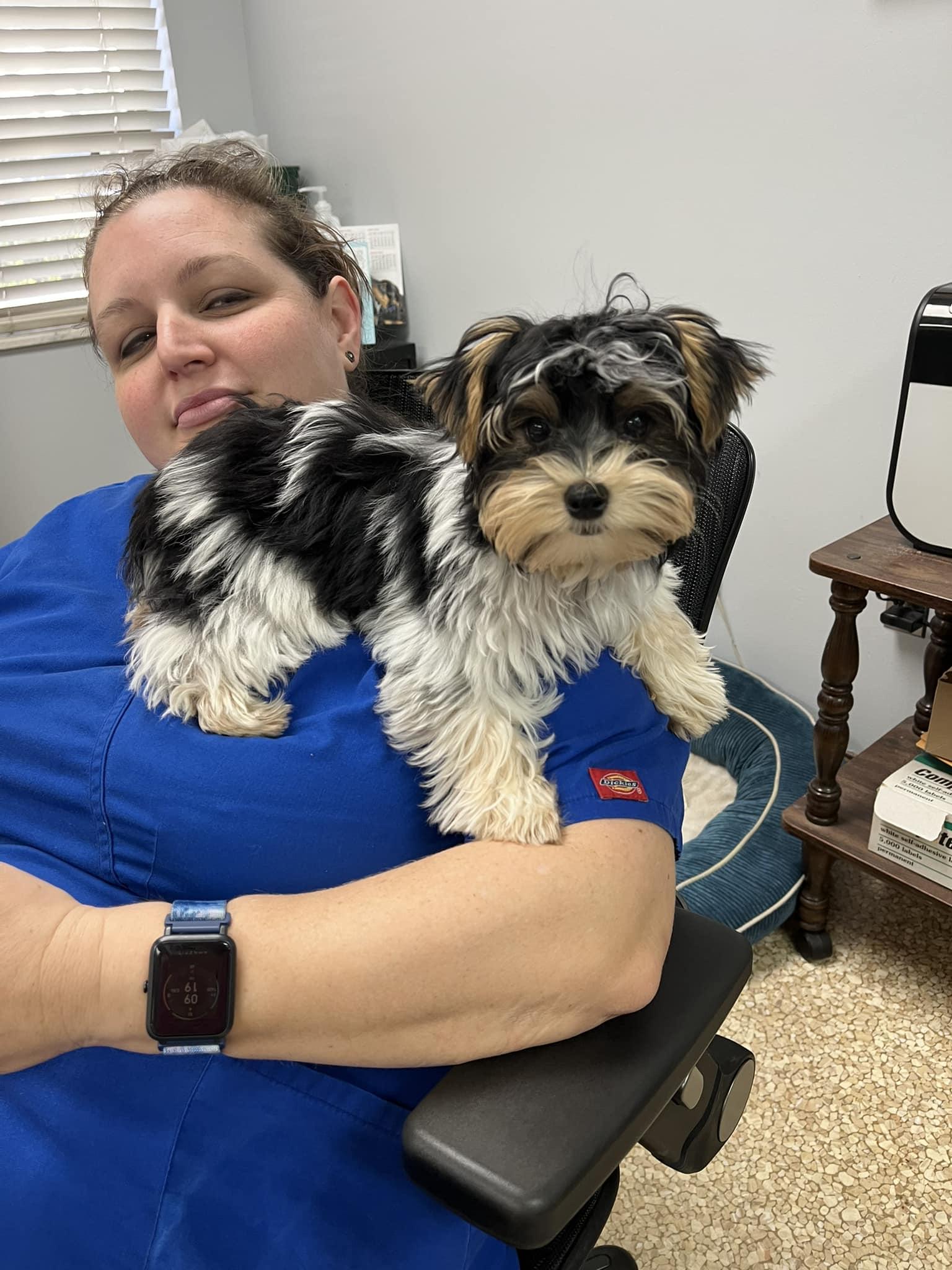 Pet Friendly John Young Parkway Animal Hospital