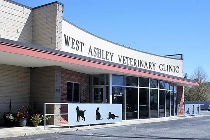 Pet Friendly West Ashley Veterinary Clinic