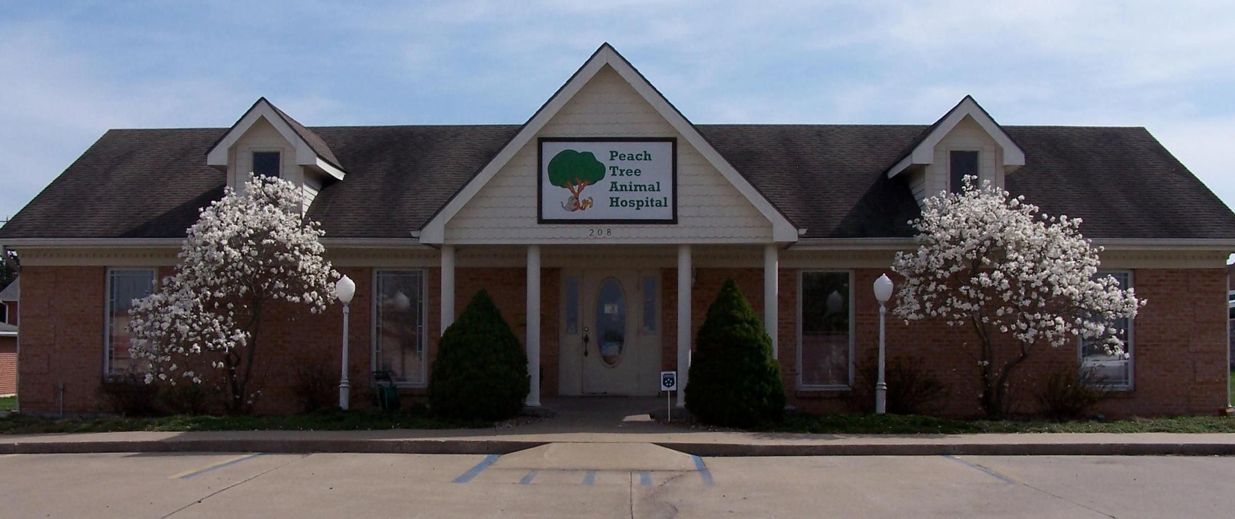 Pet Friendly Peach Tree Animal Hospital