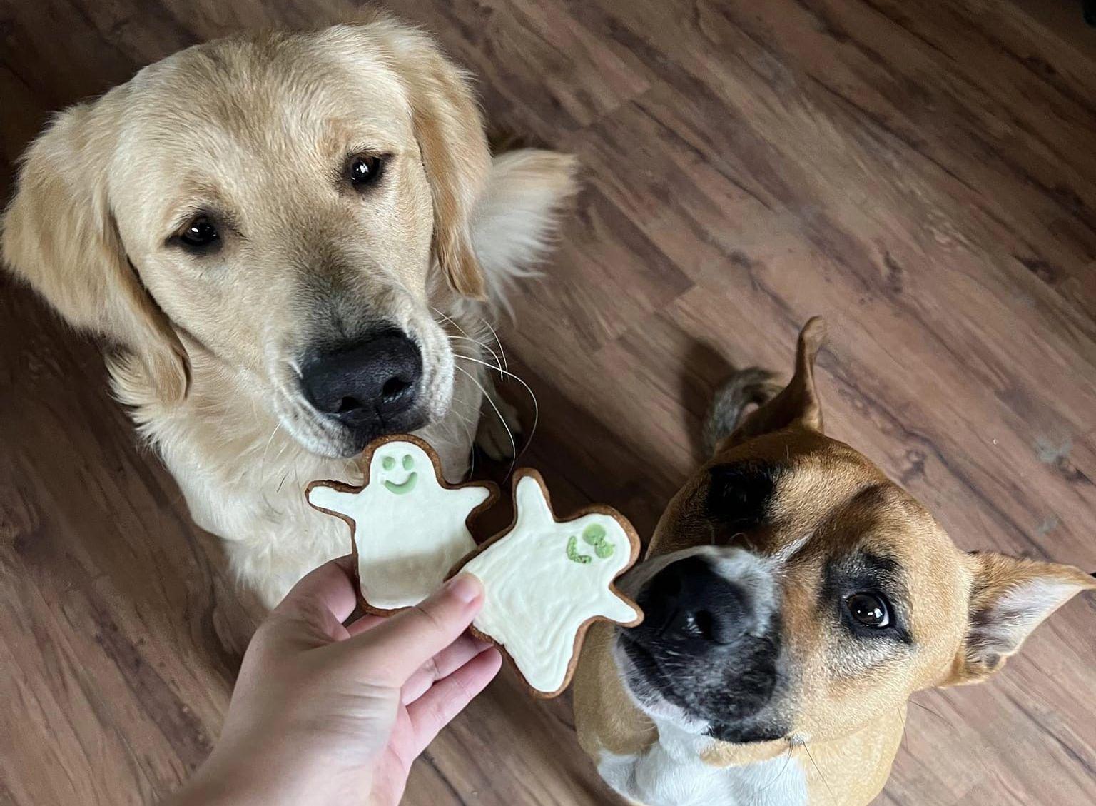 Pet Friendly Puppers & Pastries