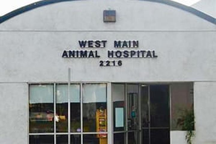 Pet Friendly West Main Animal Hospital