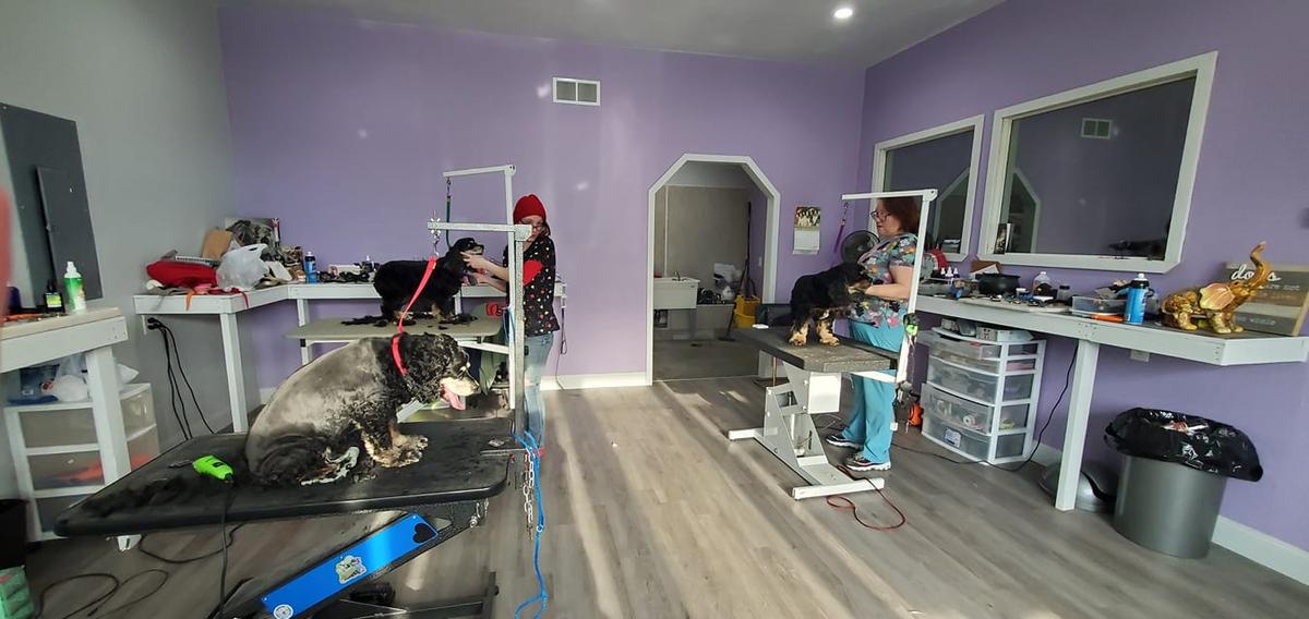 Lil grooming shop top