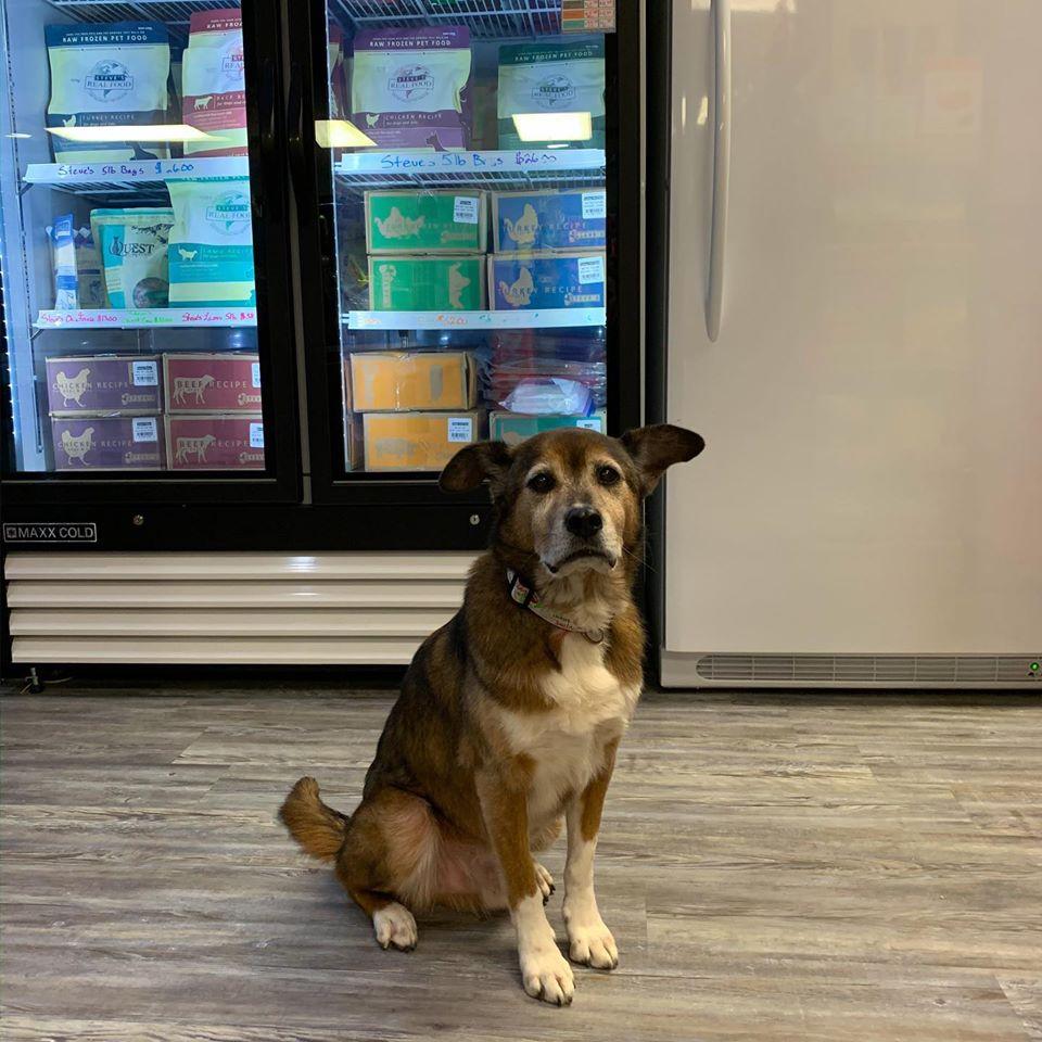 Roos holistic pet supplies outlet